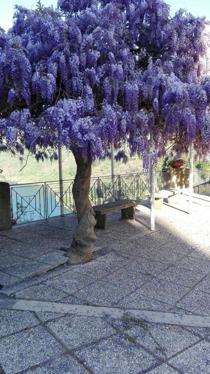 Bed and Breakfast La Casa Di Milady Genzano di Roma Exterior foto